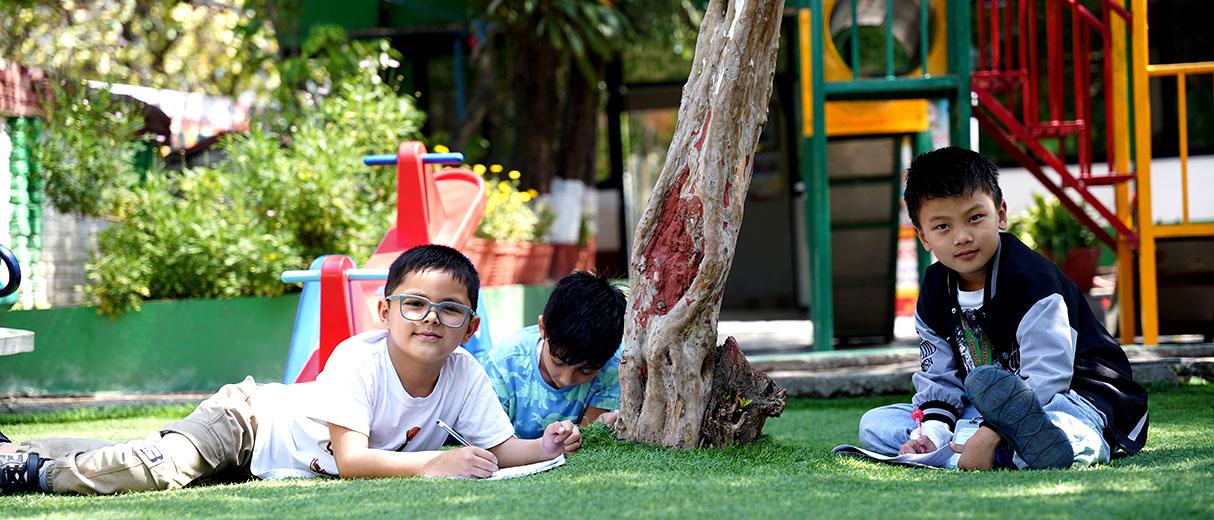 Primary School Program